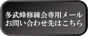 ボタン2
